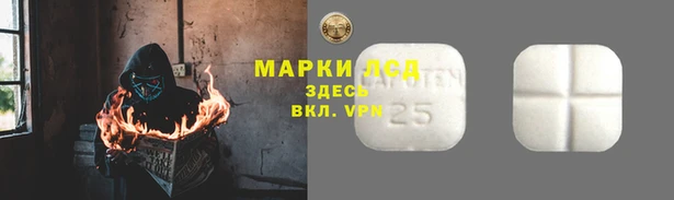 ГАЛЛЮЦИНОГЕННЫЕ ГРИБЫ Балабаново