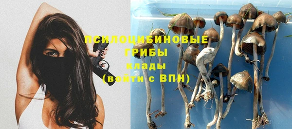 прущая мука Баксан