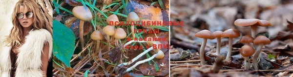 каннабис Балахна