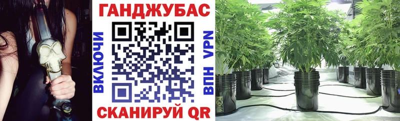 OMG как зайти  где купить наркоту  Торжок  Конопля планчик 